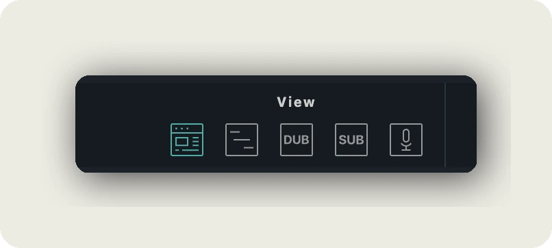 dubbr 101 — View toolbar submenu showing overview, detail, DUB, SUB, and microphone (Recording Panel) icons